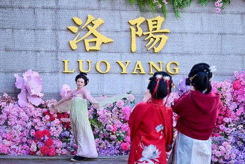 届中国洛阳牡丹文化节文明实践工作综述pg